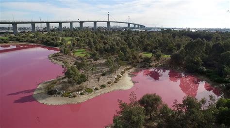 australia amazon river pink tubig